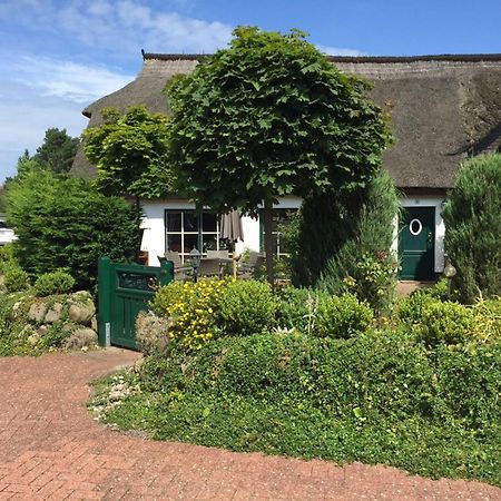 Birkenstrasse 10 Fischerhus Zingst Bagian luar foto